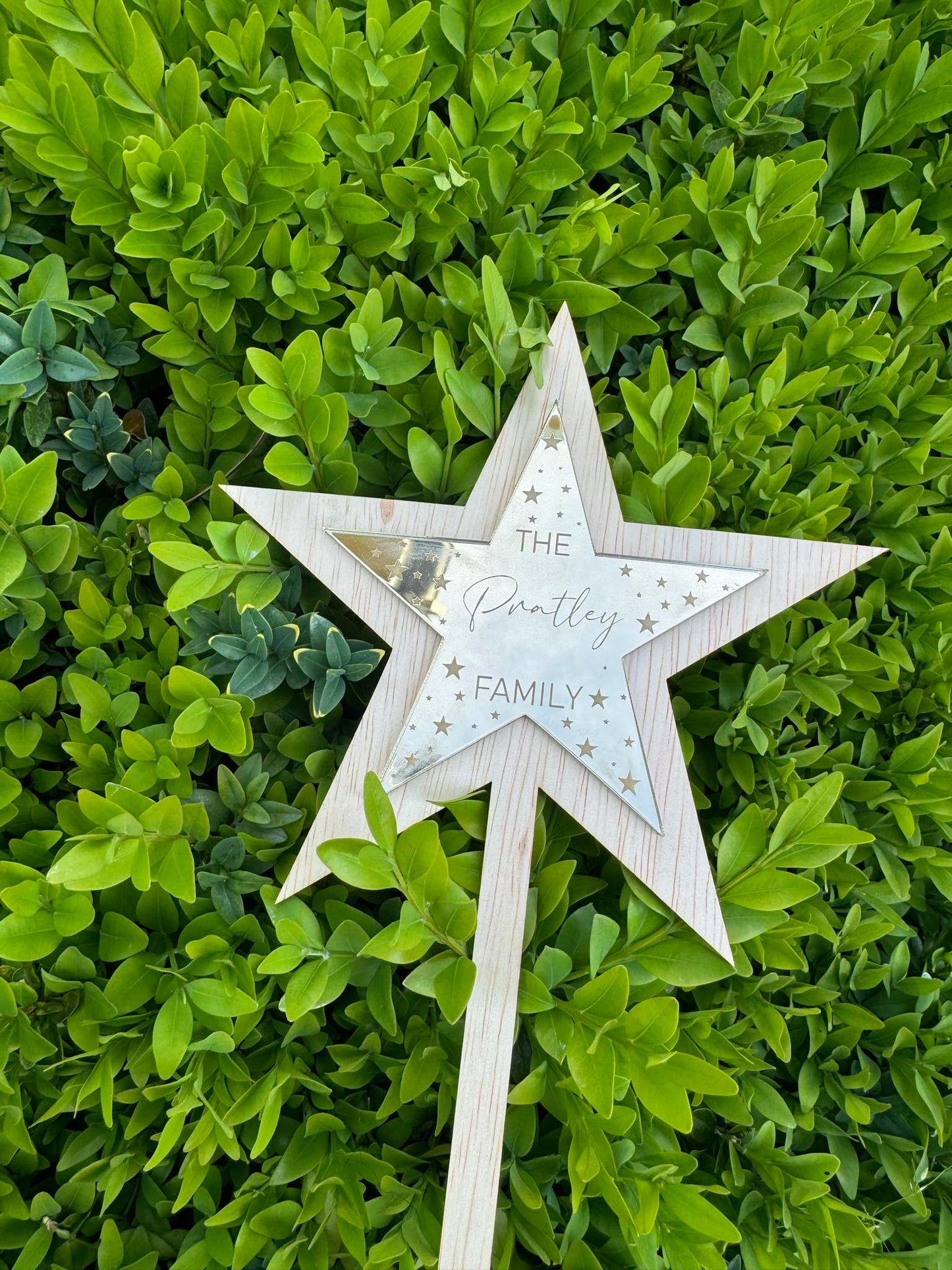 Christmas tree Topper