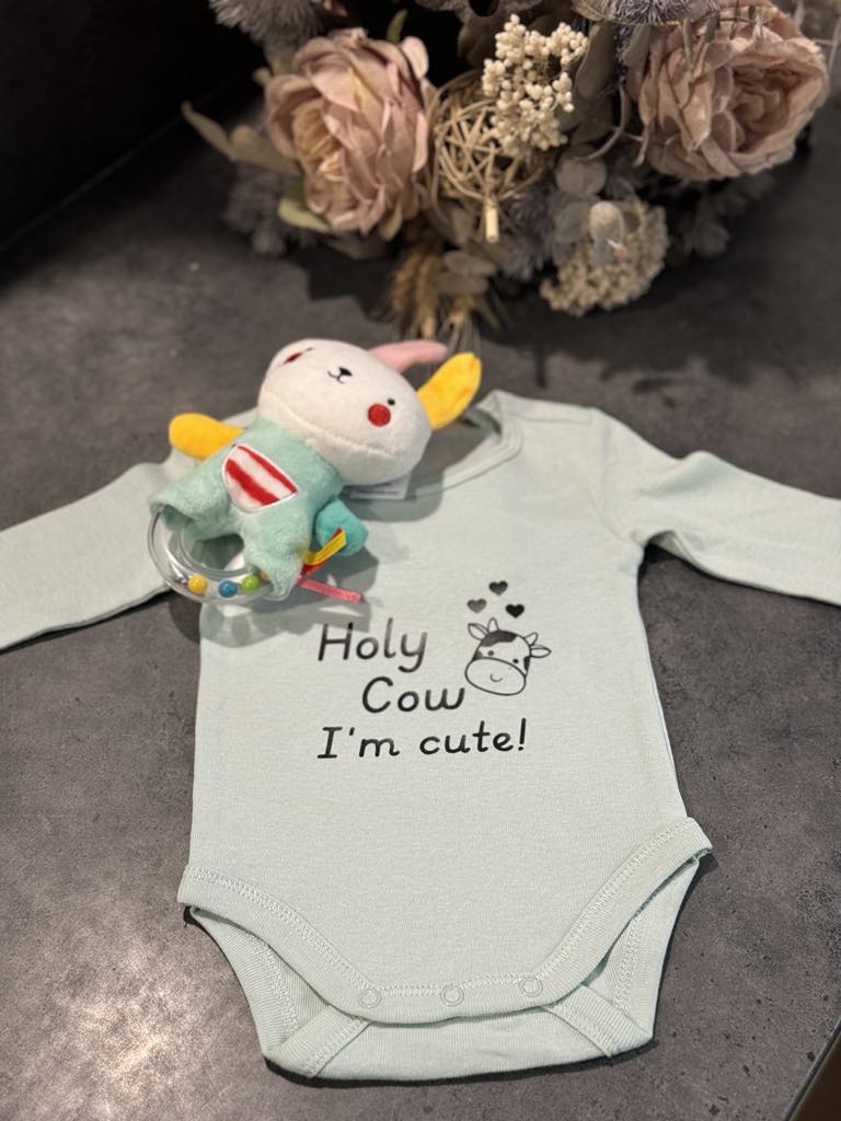 Baby onesie