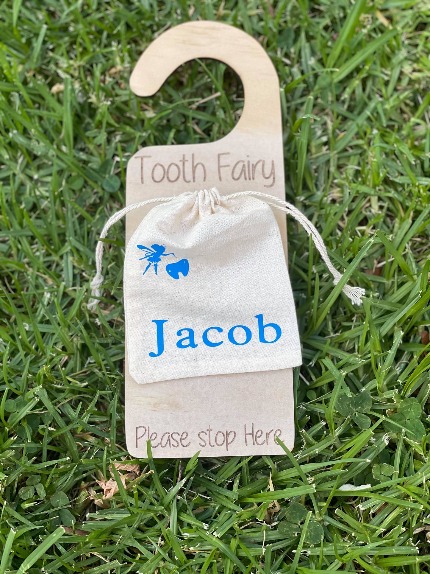 Tooth Fairy - Tooth Bag